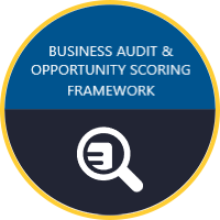 Business Audit & Opportunity Scoring Framework